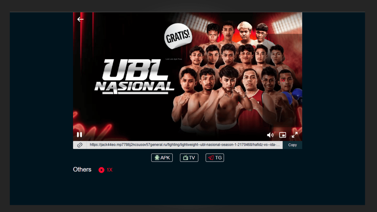 Basketball, Tennis, and Combat Sports on FCTV33