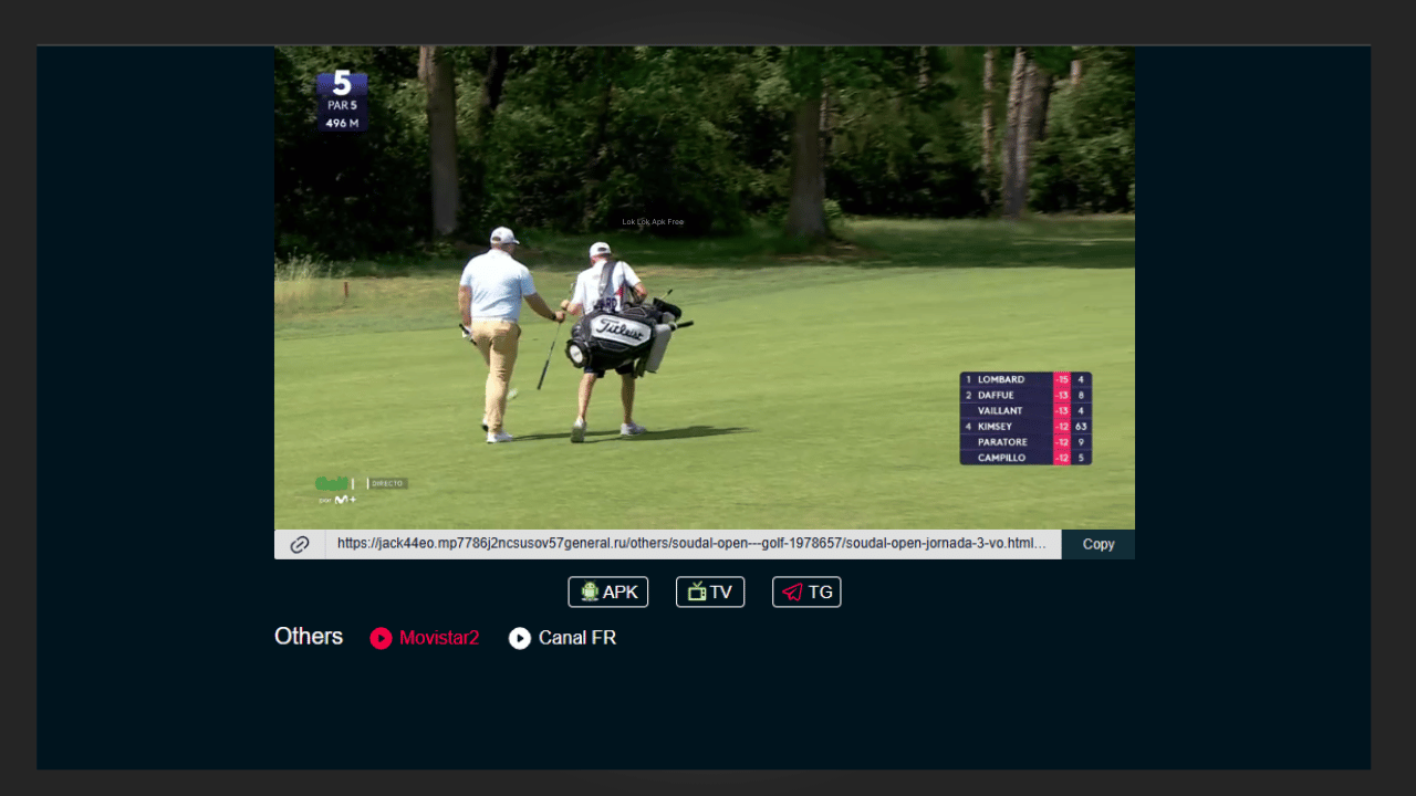 International News and Entertainment Channels on FCTV33